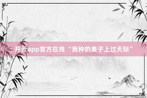 开云app官方在线 “我种的麦子上过天际”