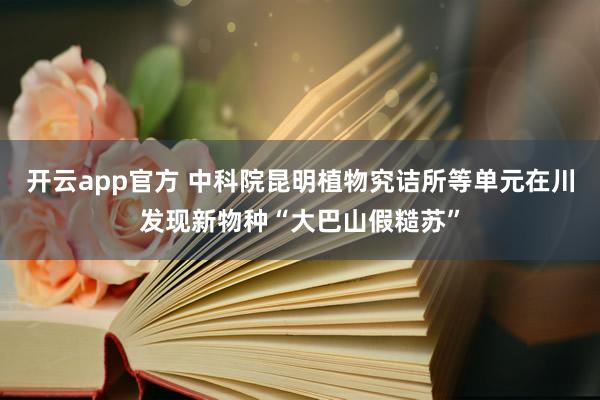 开云app官方 中科院昆明植物究诘所等单元在川发现新物种“大巴山假糙苏”