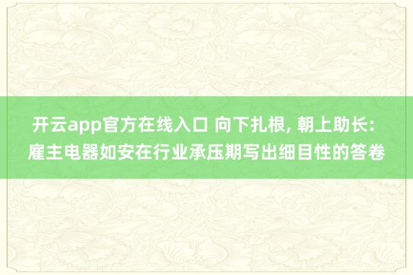 开云app官方在线入口 向下扎根， 朝上助长: 雇主电器如安在行业承压期写出细目性的答卷