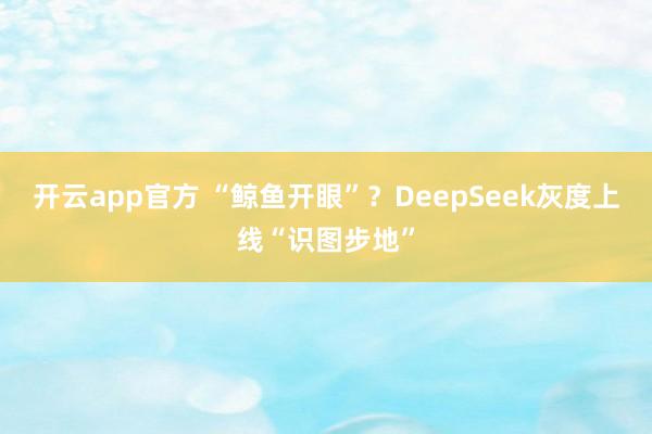 开云app官方 “鲸鱼开眼”？DeepSeek灰度上线“识图步地”